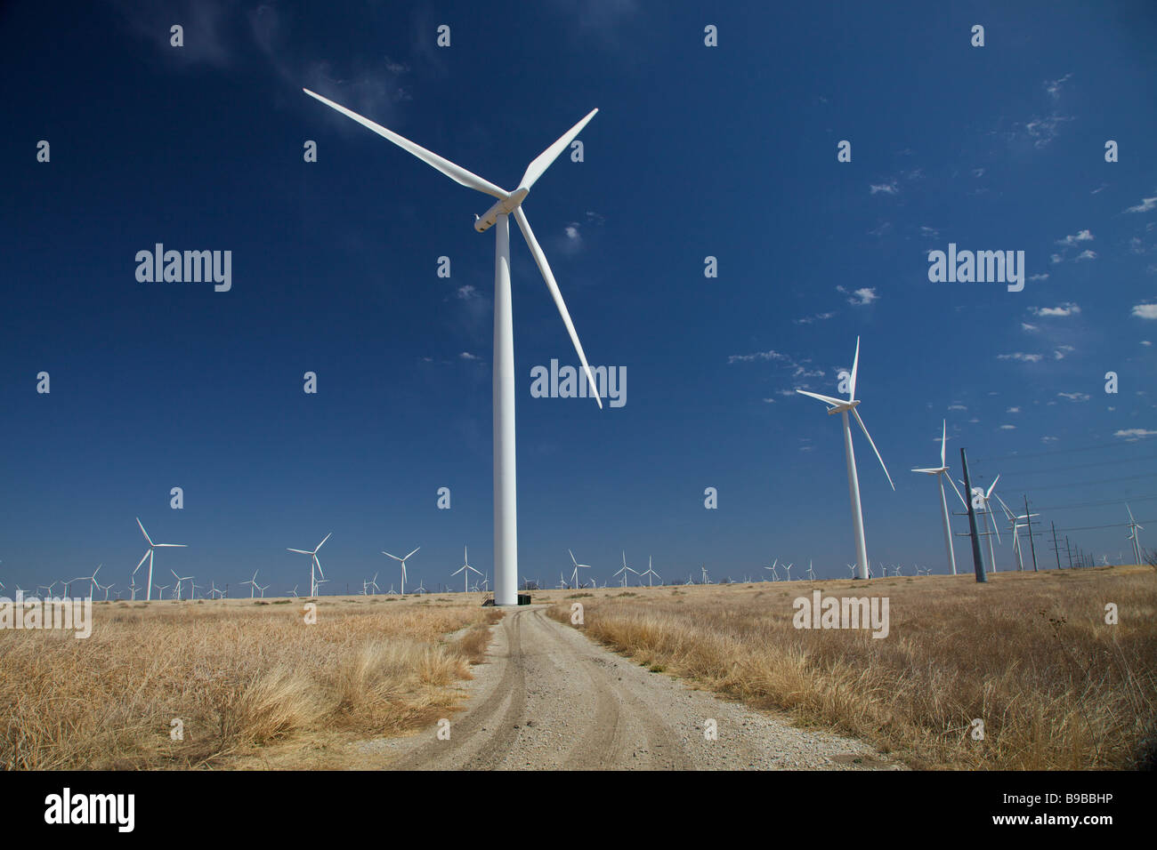 Wind turbines generating electricity at Horse Hollow Wind Farm Nolan county Texas the world's largest Stock Photo