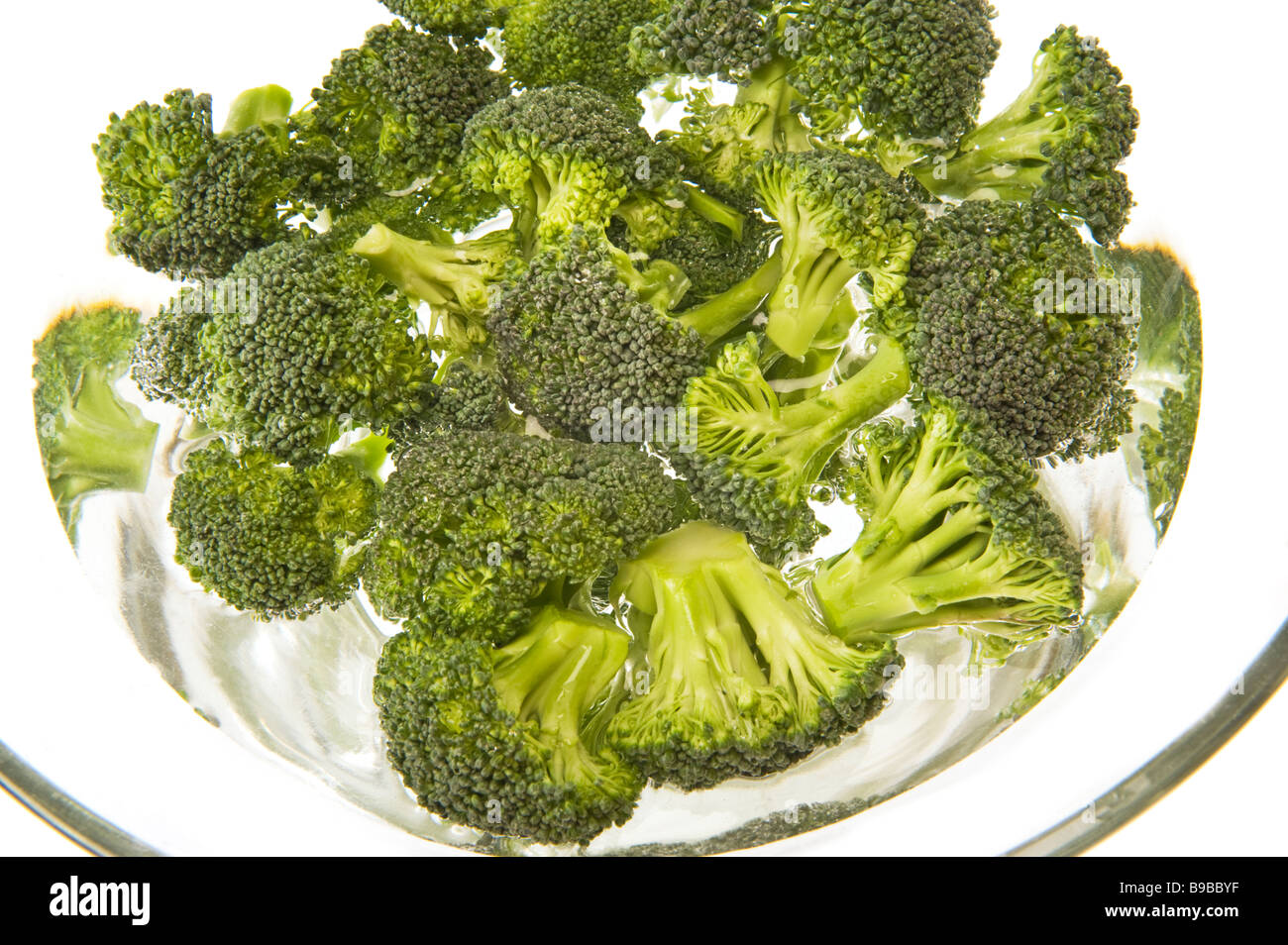 brokkoli brokoli broccoli sprouts in water bowl waterbowl glass kitchen clean cleaning wash washing green greenfood food cooking Stock Photo