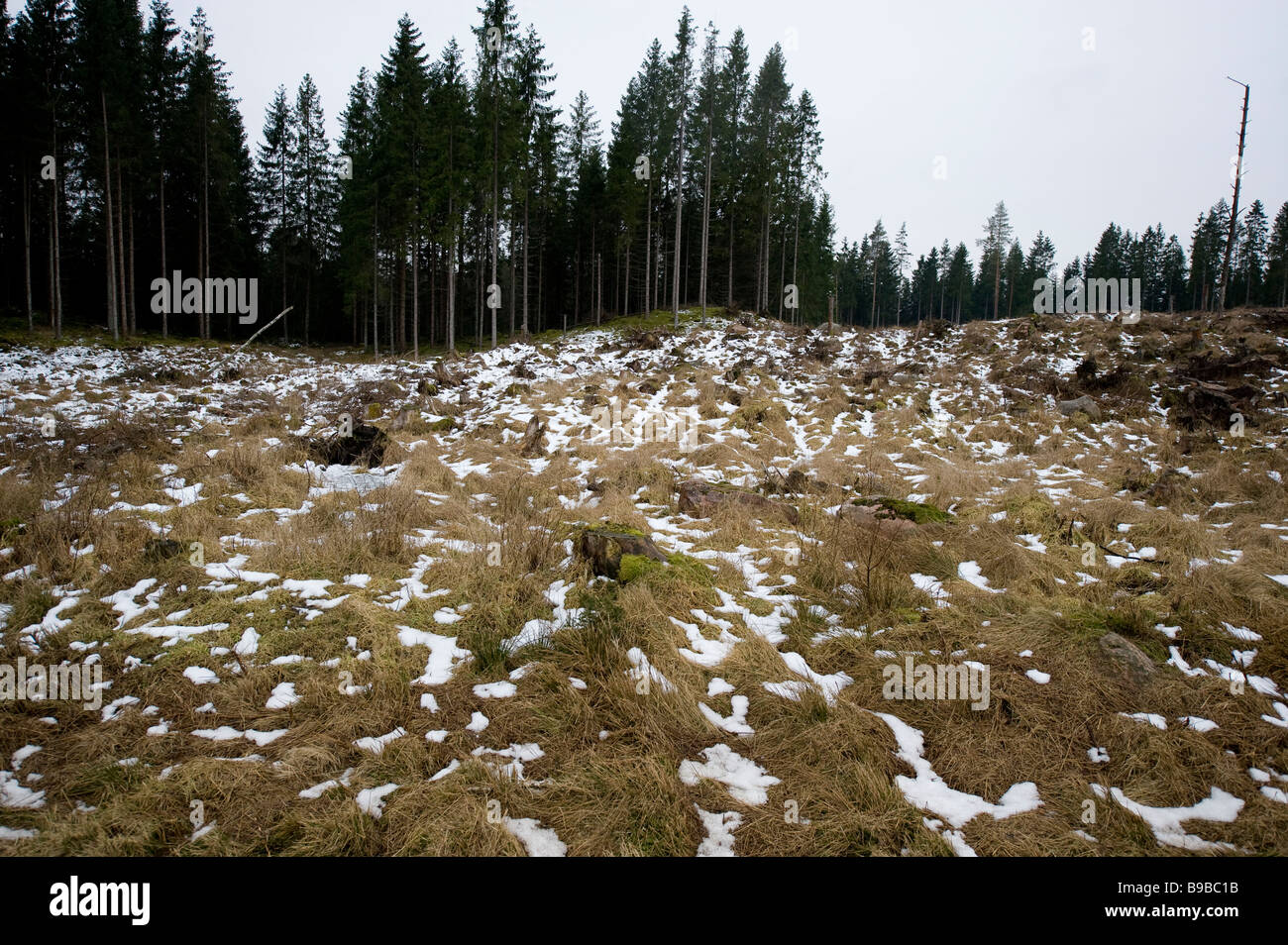 Typical Swedish nature winter landscape, Sweden Stock Photo