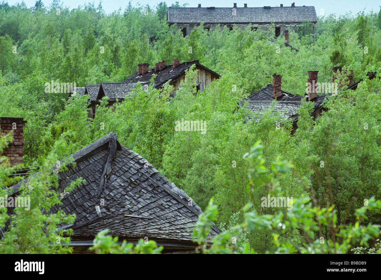 View of the deserted Stalin era gulag buildings of the Salekhard Igarka Railway overgrown by trees in northern Siberia. Stock Photo