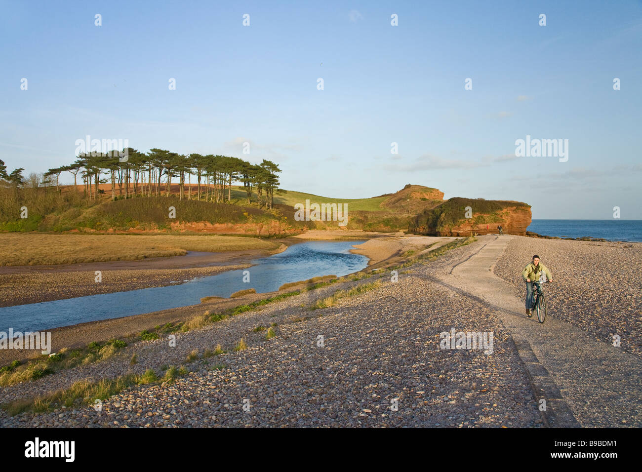 Cyclist near Otterton Ledges and River Otter in evening light Budleigh Salterton Devon West Country England UK United Kingdom GB Stock Photo