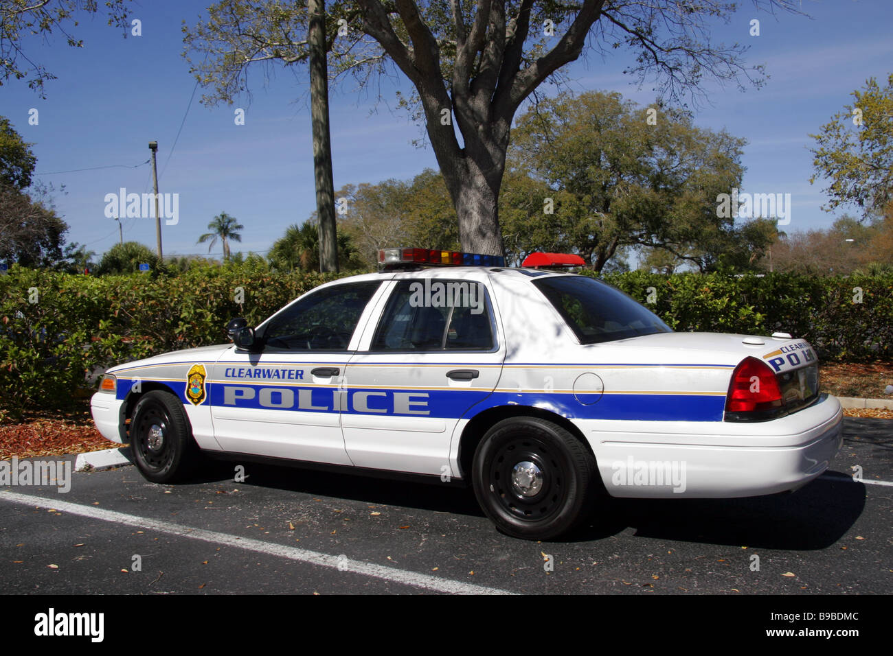 Florida law hi-res stock photography and images - Alamy