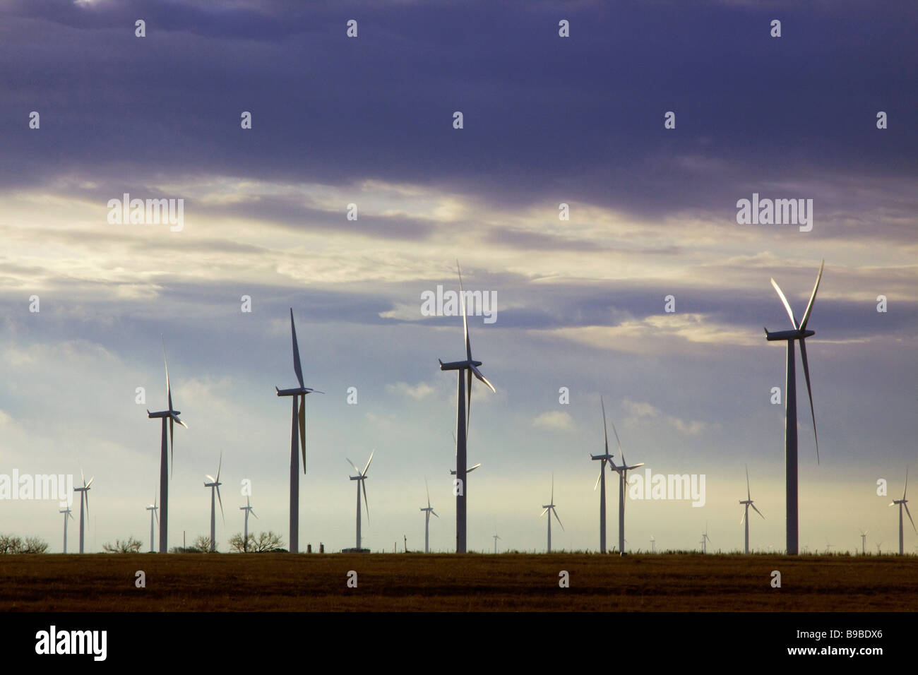 Wind turbines generating electricityat Horse Hollow Wind Farm Nolan Texas the world's largest wind power project Stock Photo