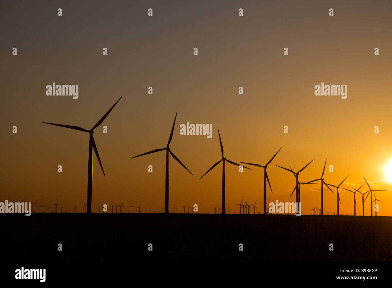 Wind turbines generating electricity at Horse Hollow Wind Farm Nolan ...