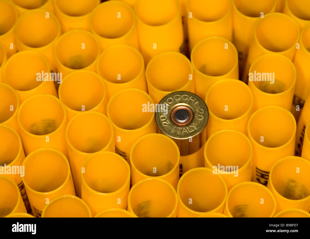 A full shell sits among empty shotgun shells Stock Photo Alamy