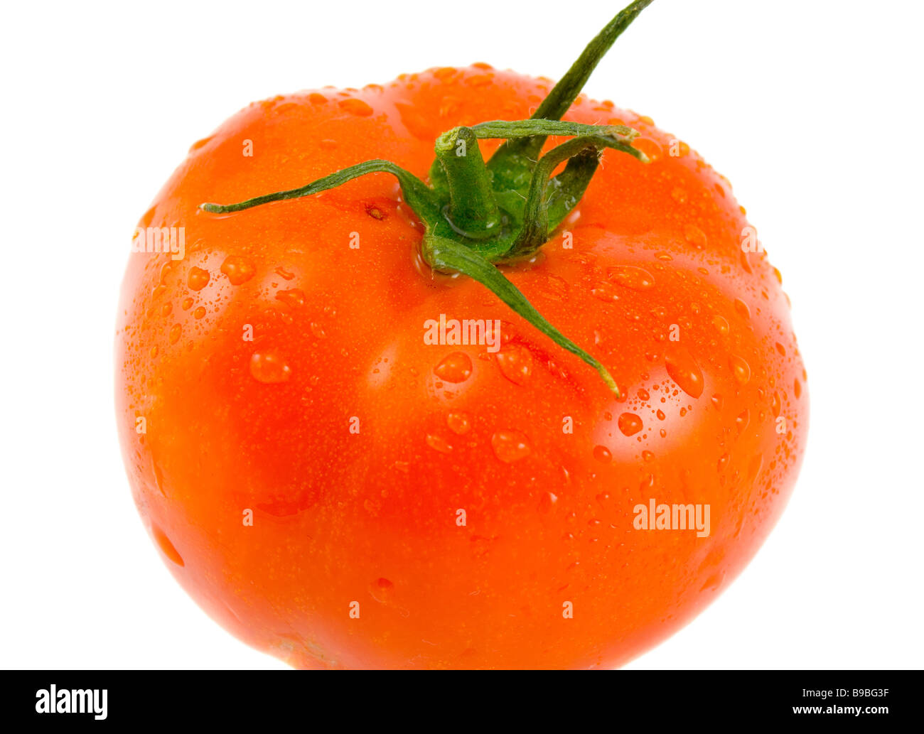 the red tomato with water drops on white background Stock Photo - Alamy