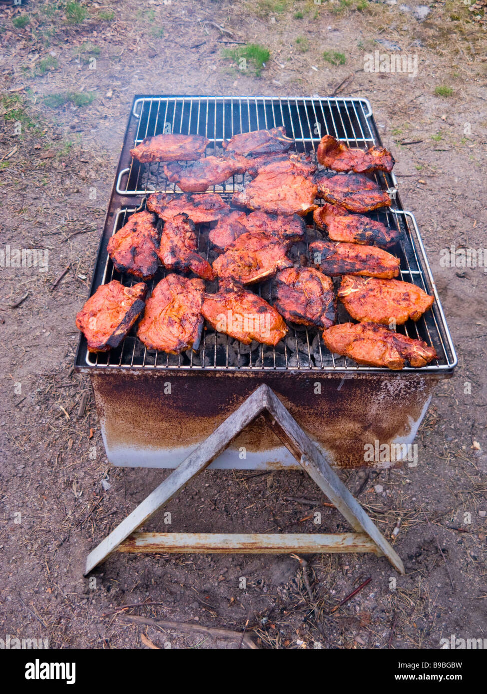 Grilled meat on the grill Stock Photo