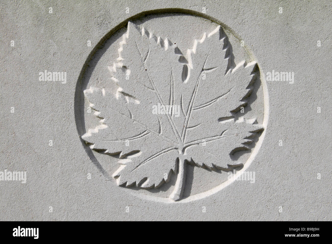 The Canadian emblem which appears on all headstones in Commonwealth War cemeteries around the world. Stock Photo