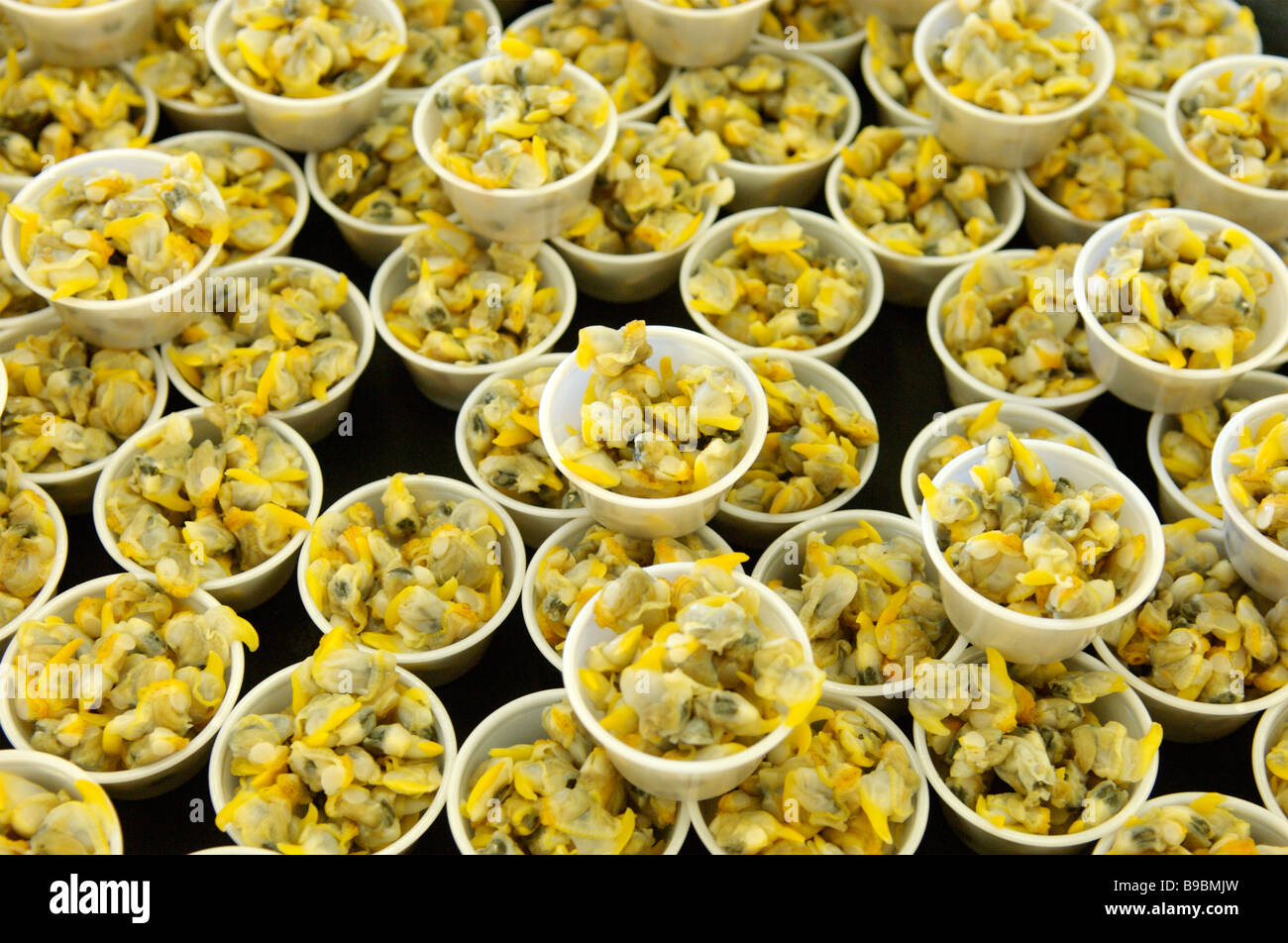Bowls of cockles / winkles on sale at Whitstable fish market Stock