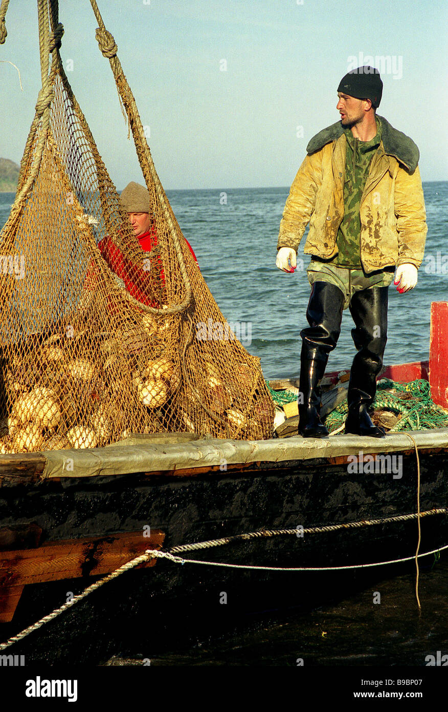 Fishermen of the South Kuril Fish Processing Plant catching scallops