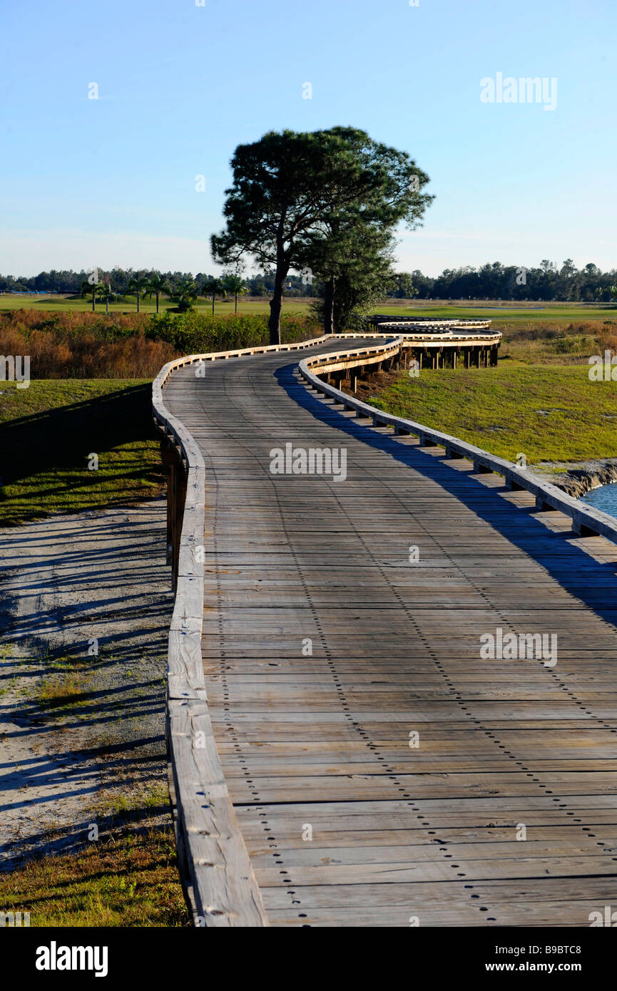 Wooden bridge traverses wetland area florida Stock Photo