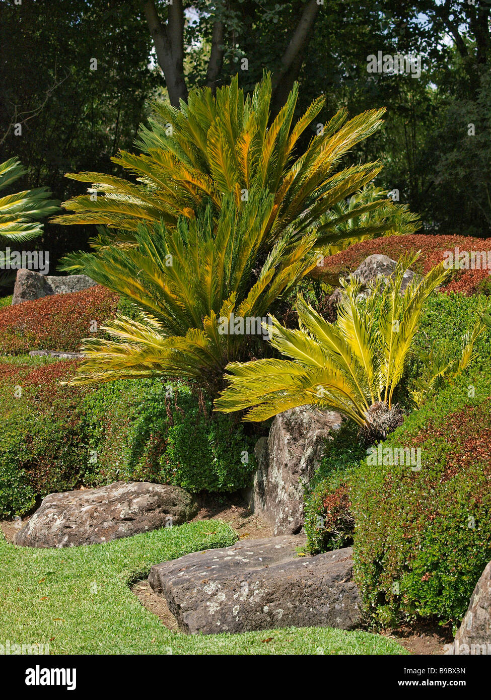 Japanese garden melbourne zoo hires stock photography and images Alamy