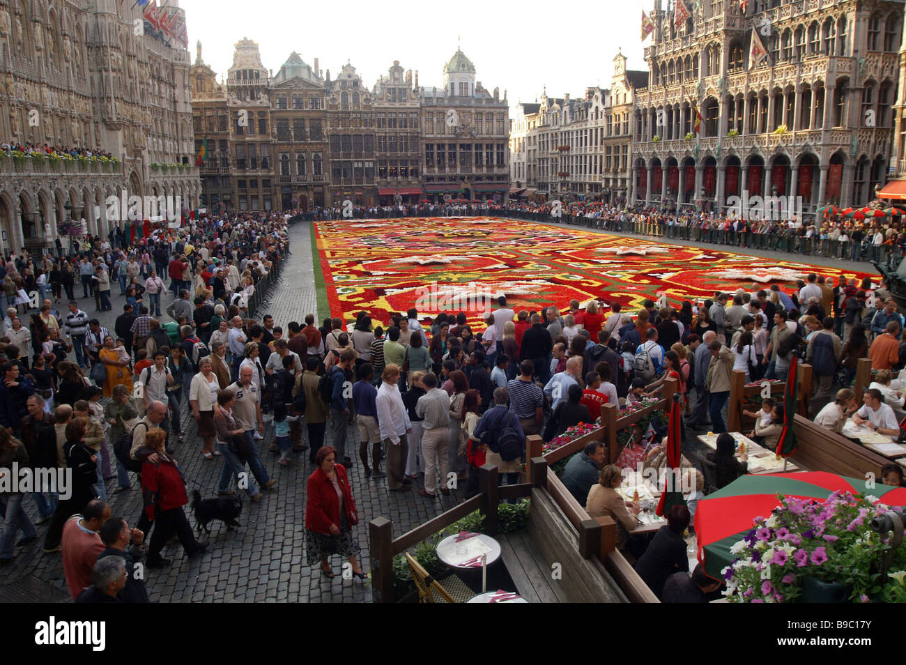 Carpet of roses at the flower festival on Brussels Main Square Stock