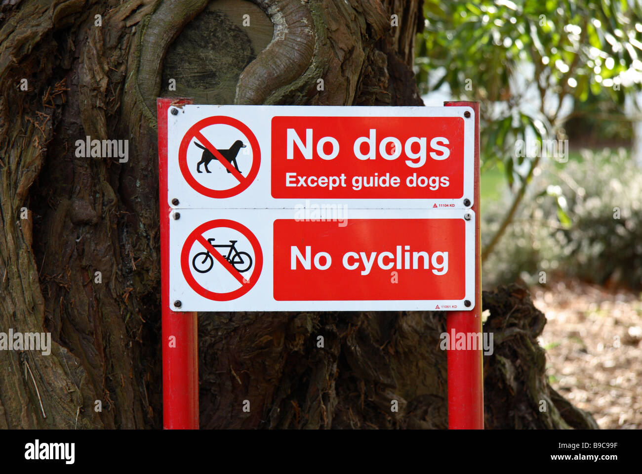 'No Dogs except guide dogs' and 'No cycling' signs in the Brookwood Military Cemetery, Woking. Stock Photo