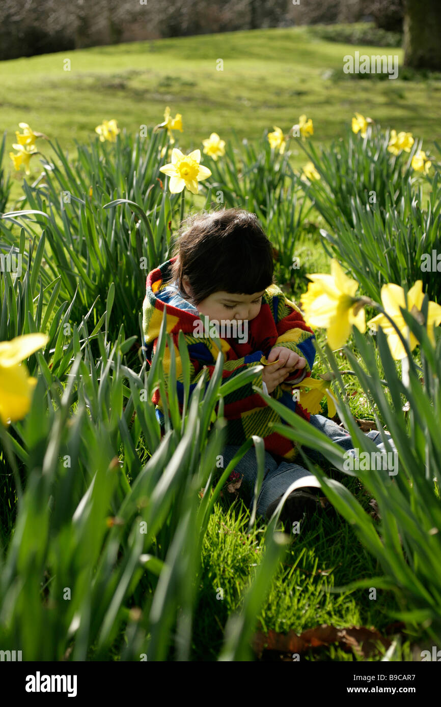 One year old baby among daffodils Stock Photo