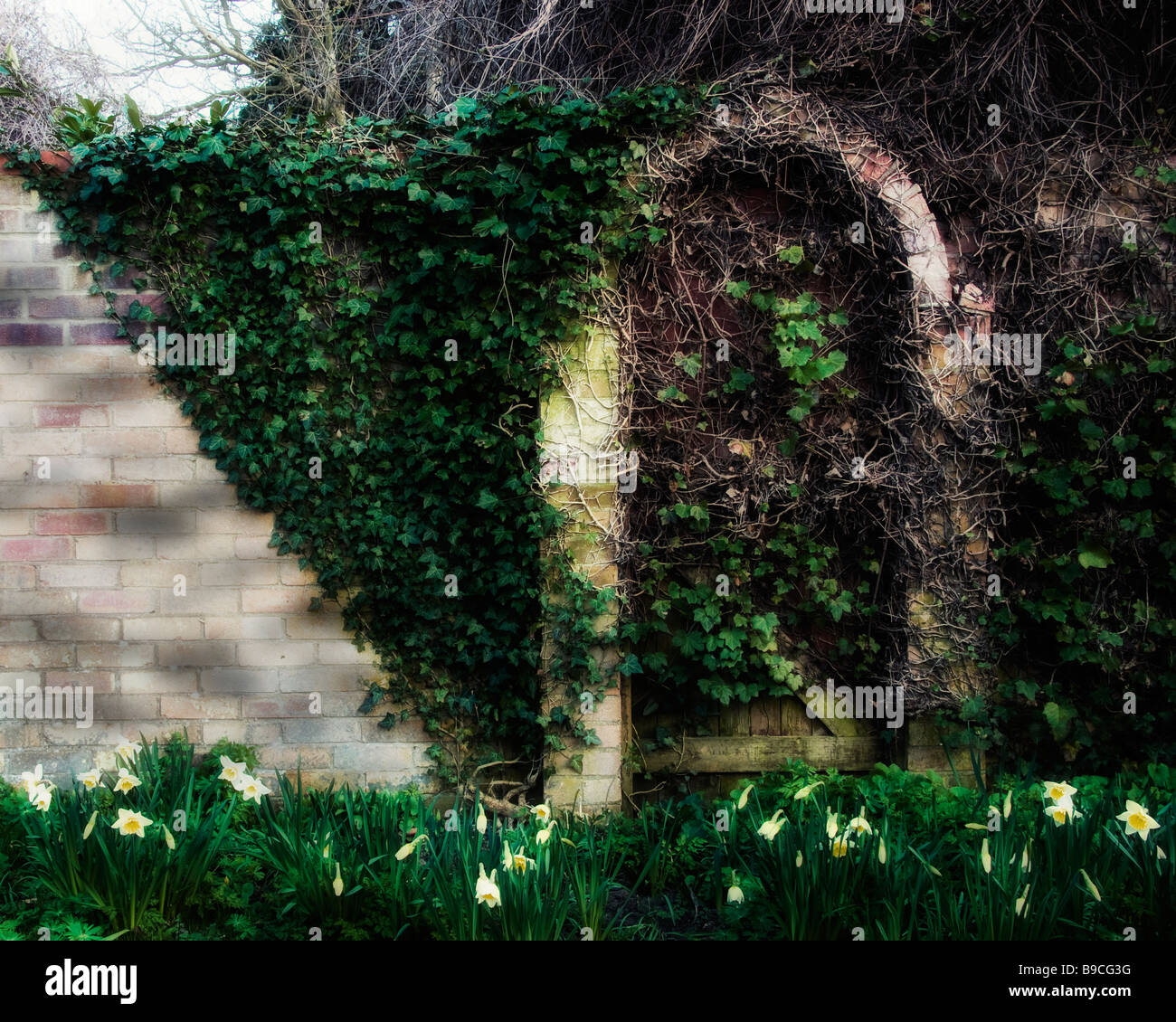 the secret garden door