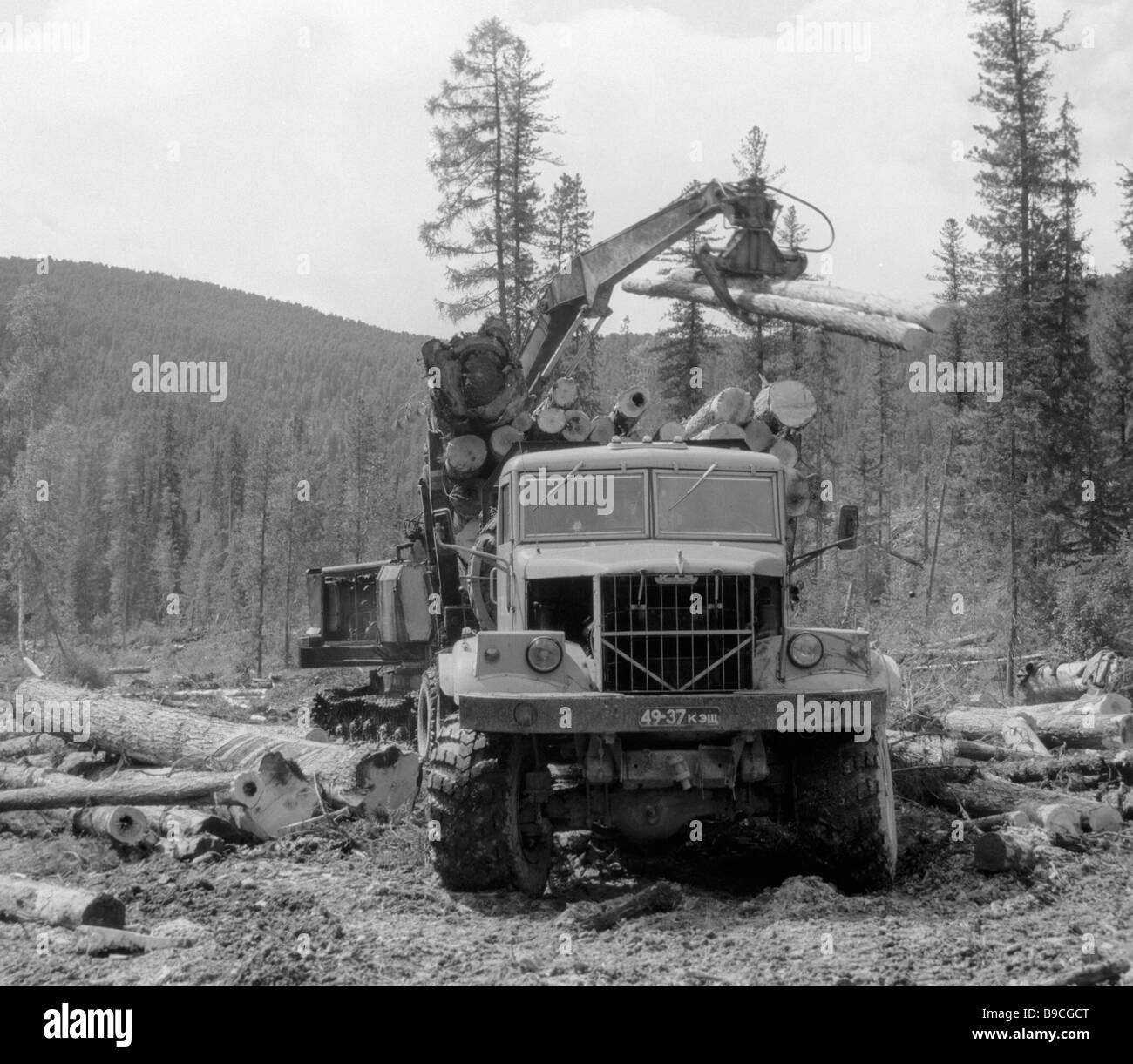 Delivering timber from Abakan timber industry enterprise Stock Photo