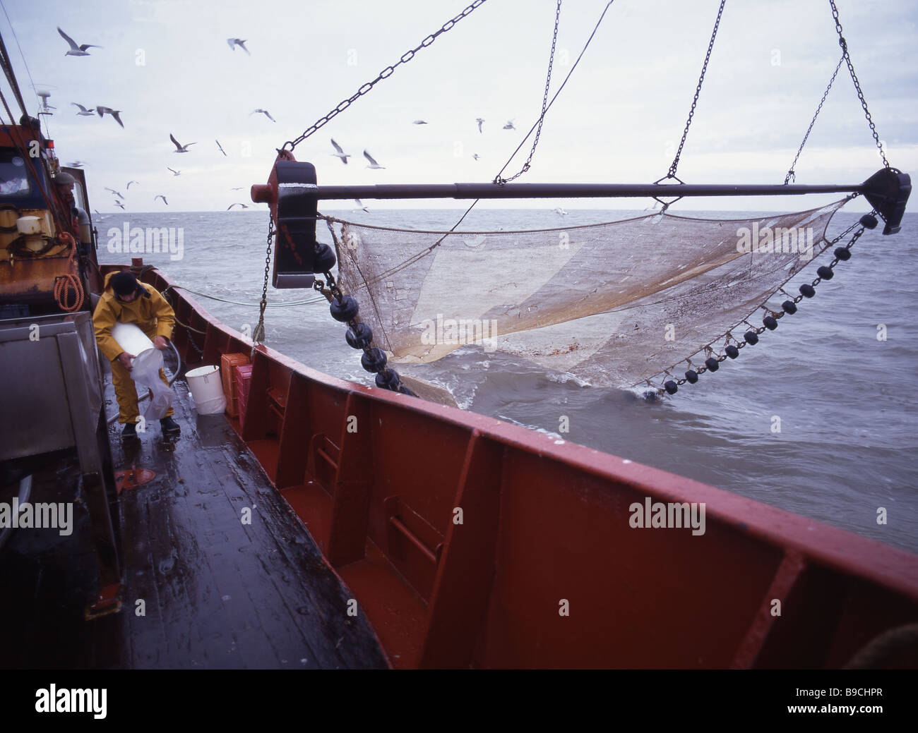 shrimp trawling in The Wash Stock Photo - Alamy
