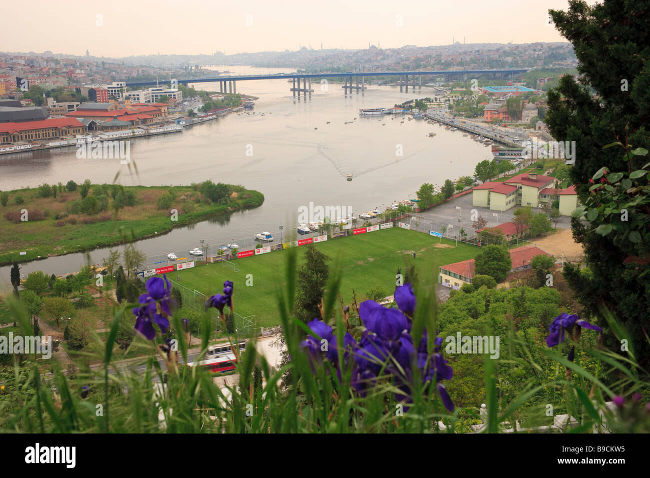 View of the Golden Horn from Pierre Loti with purple irises Istanbul Turkey Stock Photo