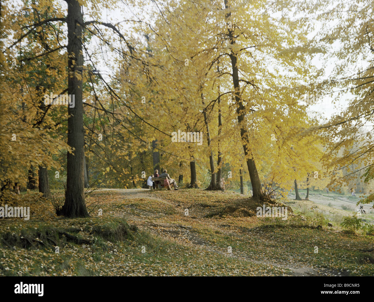 An autumn landscape Stock Photo - Alamy