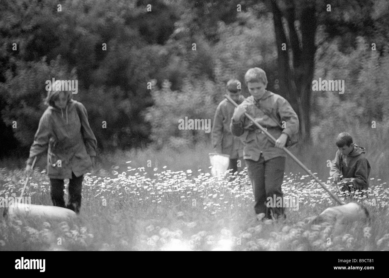 Young entomologists from Kharkov Young Pioneers Palace catching insects ...
