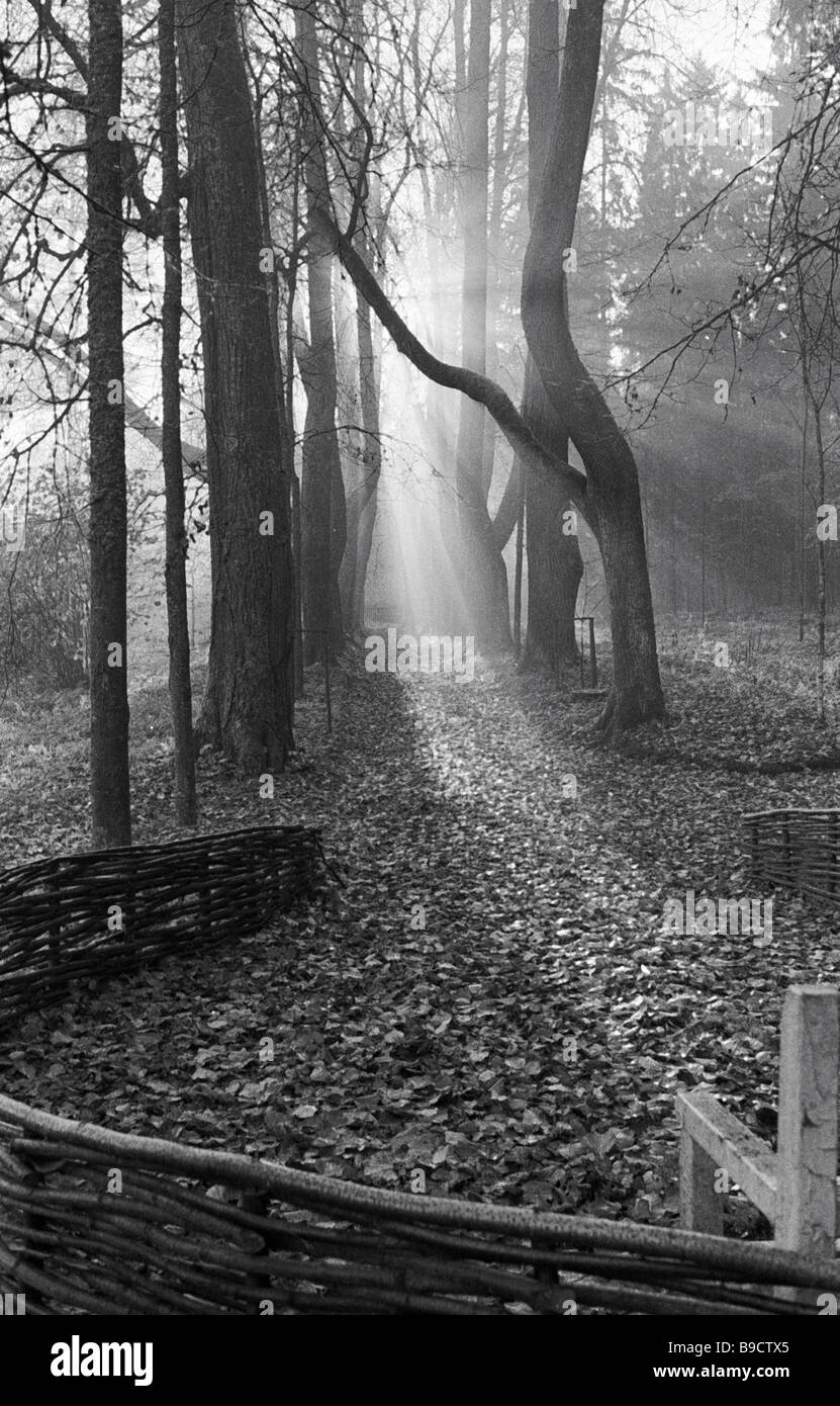 Anna Kern Alley at museum preserve Mikhailovskoye of Alexander Pushkin