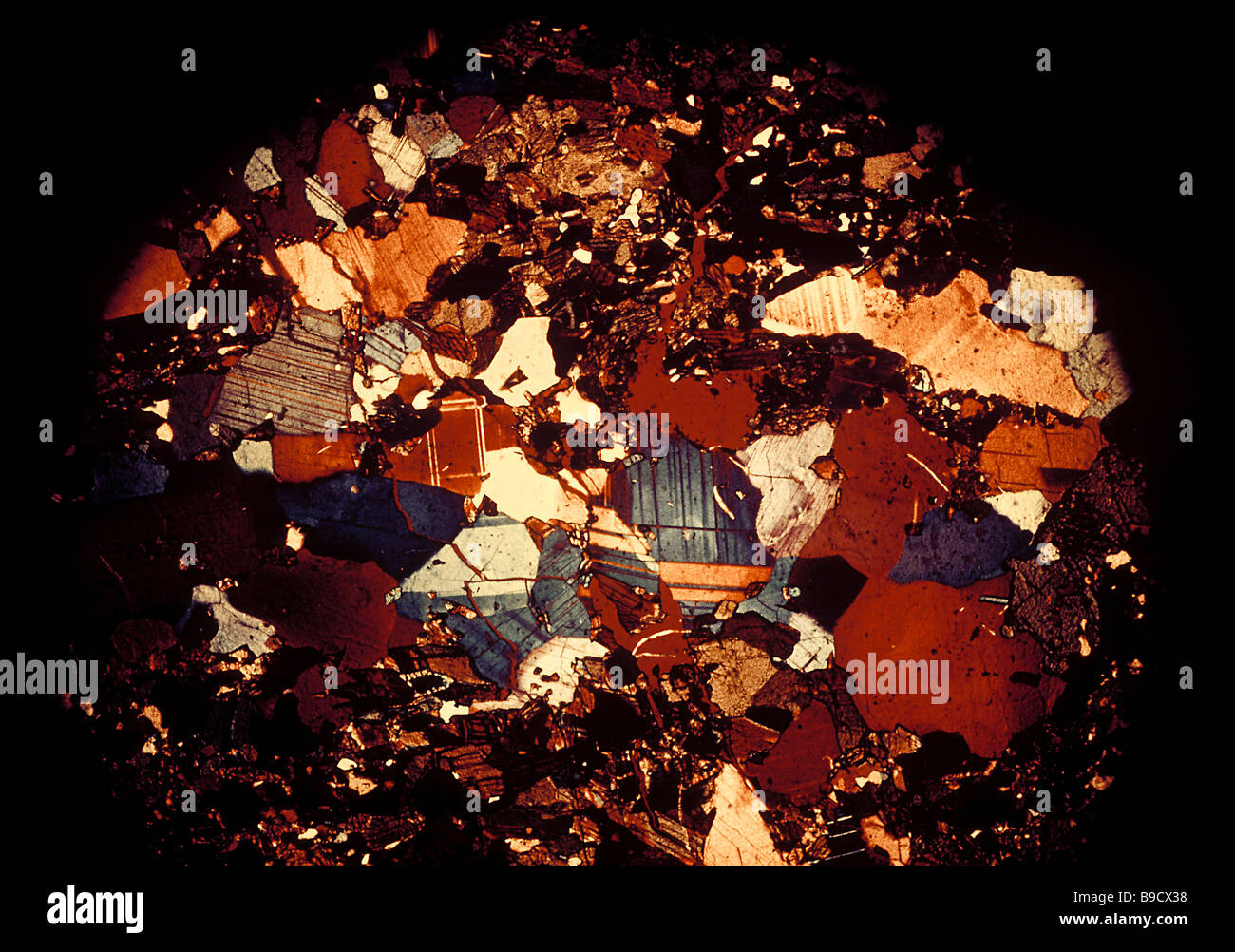 Deep layer soil under the microscope The sample was taken from a super