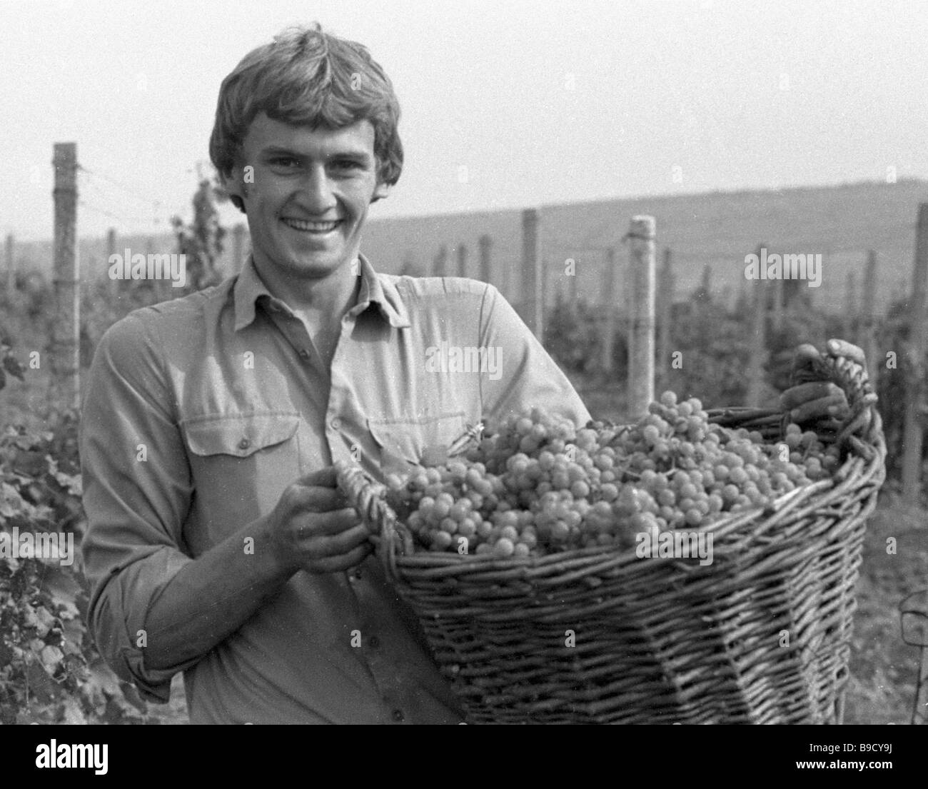 Купить Вино 1986 Года Урожая