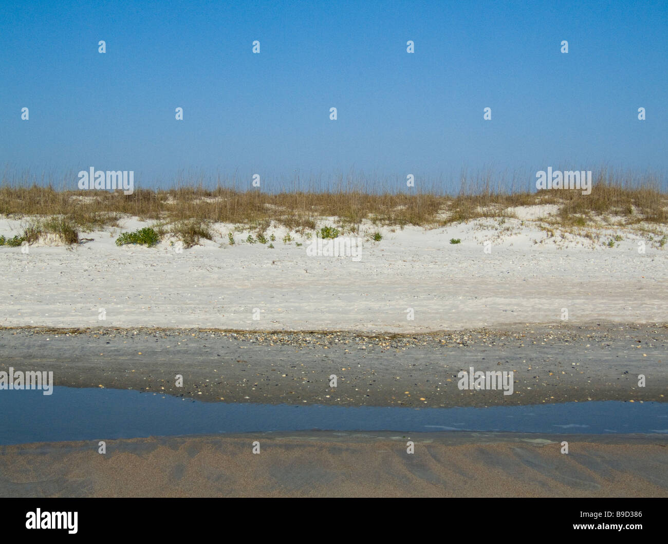 Amelia Island beach dune at Fort Clinch State Park Florida Stock Photo