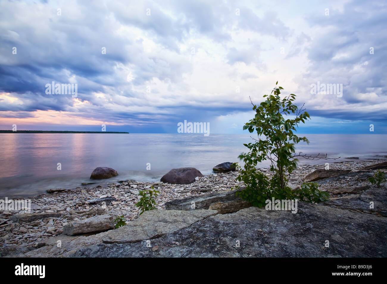 A lone tree on the Lake Winnipeg Shoreline, Hecla Island Provincial Park, Manitoba, Canada. Stock Photo