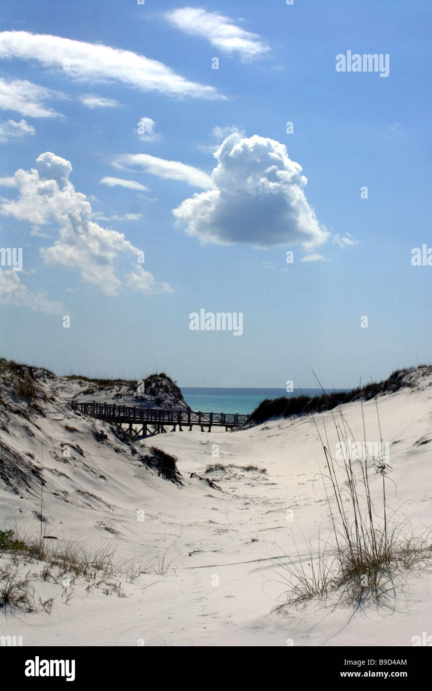 Sand Dunes in Seaside Florida Stock Photo Alamy