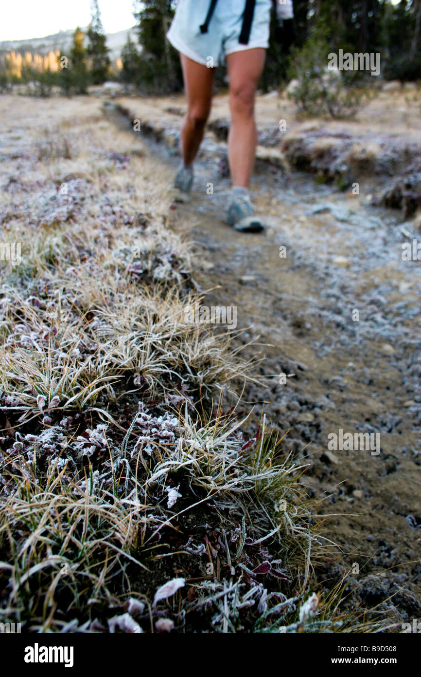 Hiker walking along the John Muir Trail early on a cold morning. Stock Photo