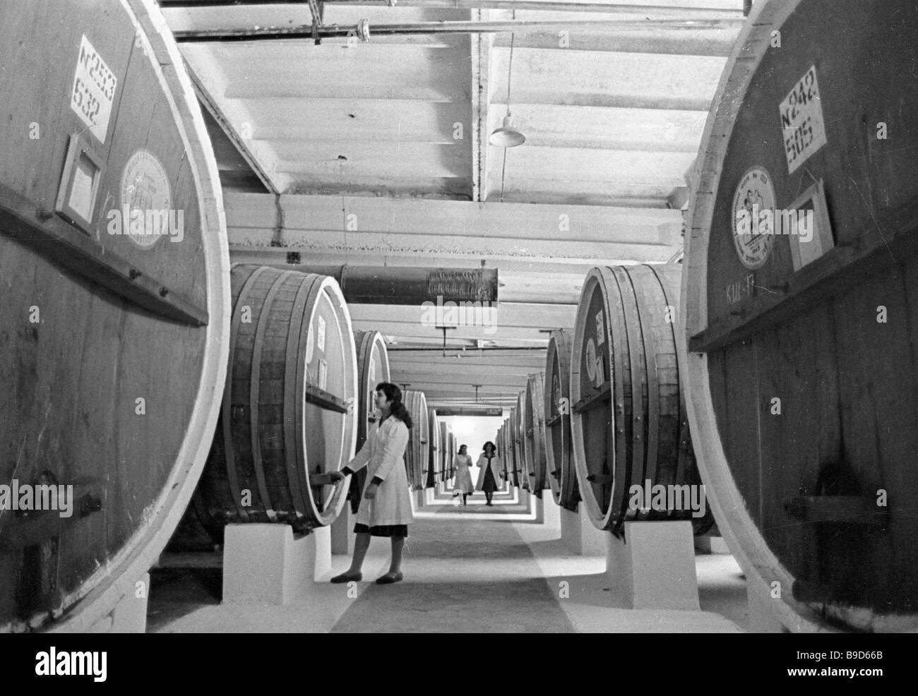 Wine making factory The Lenin collective farm Stock Photo Alamy