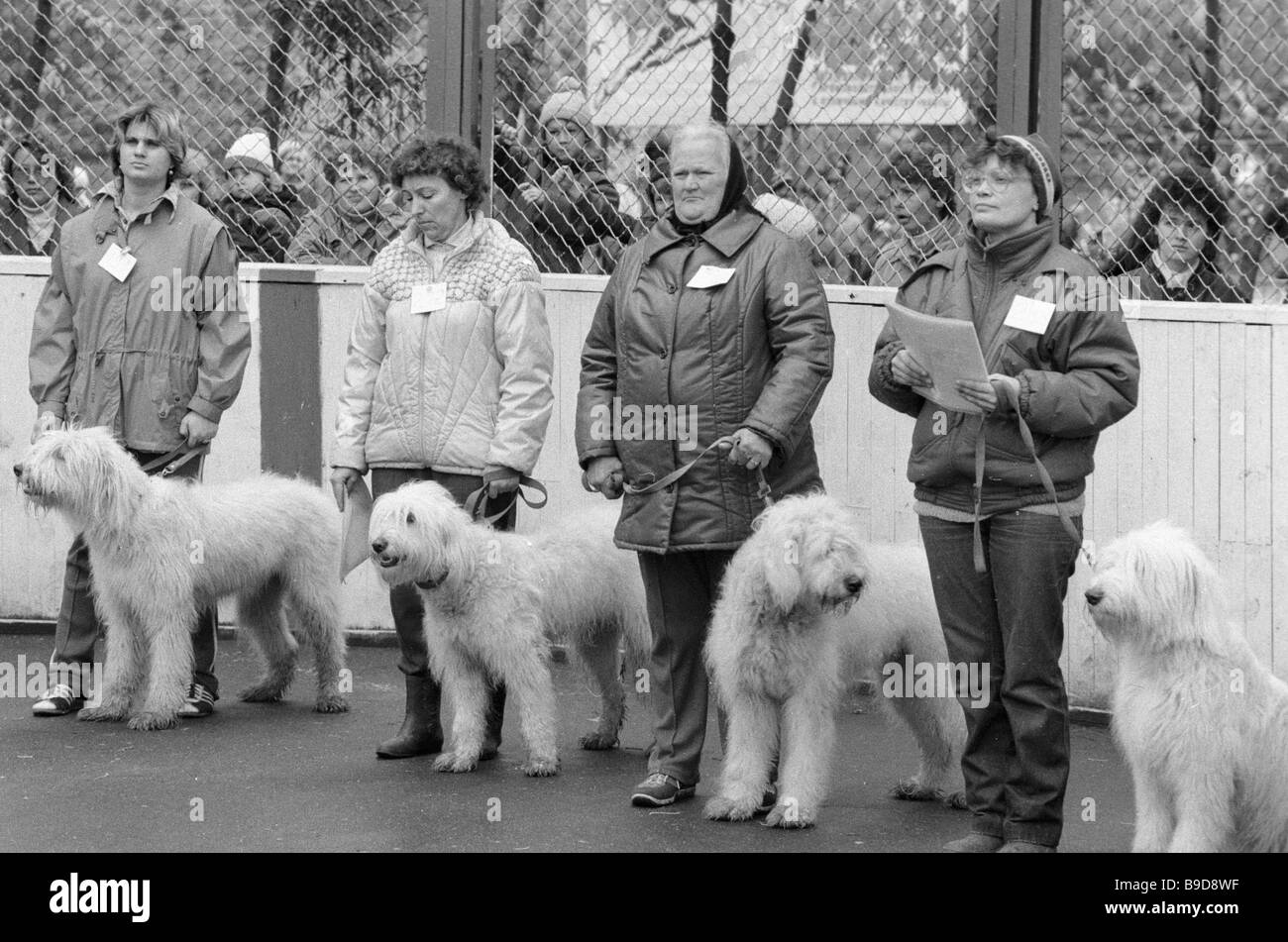 Owners Of South Russian Ovcharka With Their Dogs At The Russian Stock Photo Alamy