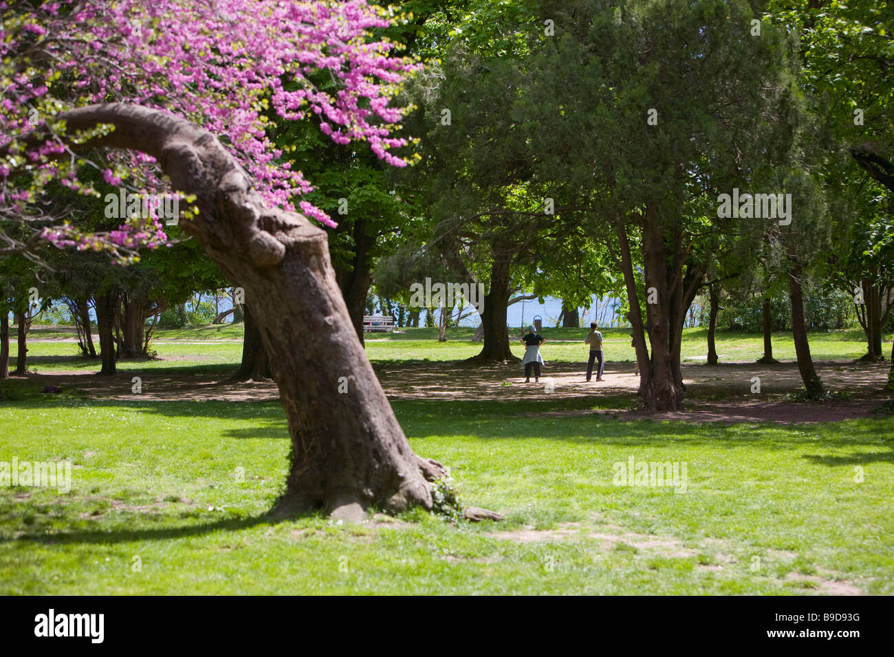 Primorski park Varna Black Sea coast Bulgaria Stock Photo - Alamy