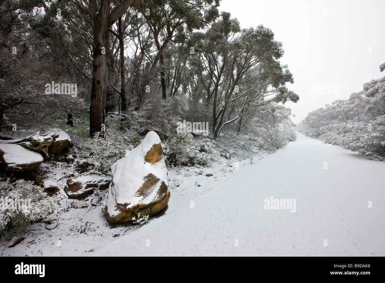 Snow, mount William, Grampians, Victoria, Australia Stock Photo