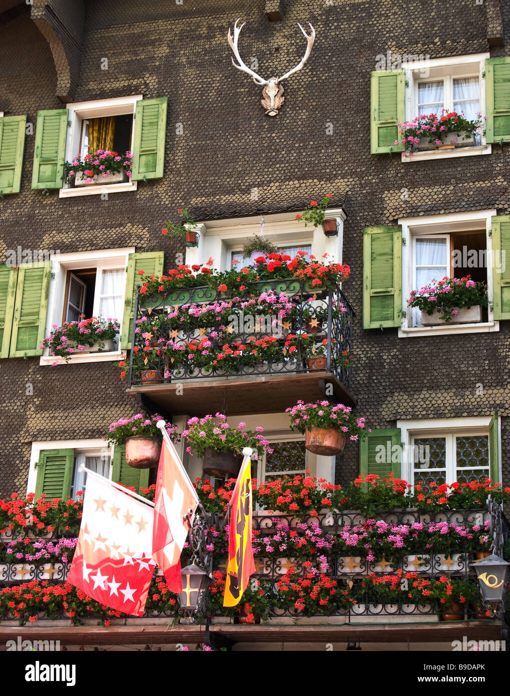 Switzerland, Typical, Balcony, Suisse, Alp, Home, Hause, Flowers, Horns