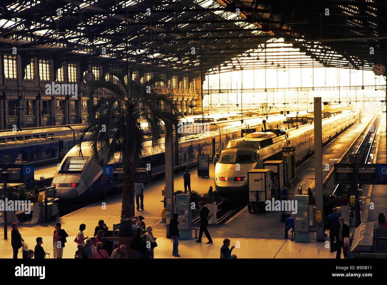 Tgv en gare de lyon hires stock photography and images Alamy Tgv en gare de lyon hires stock photography and images Alamy
