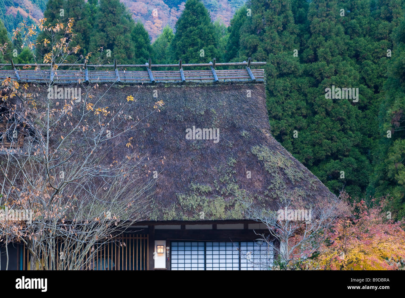 Fork dwelling in Kyoto Stock Photo