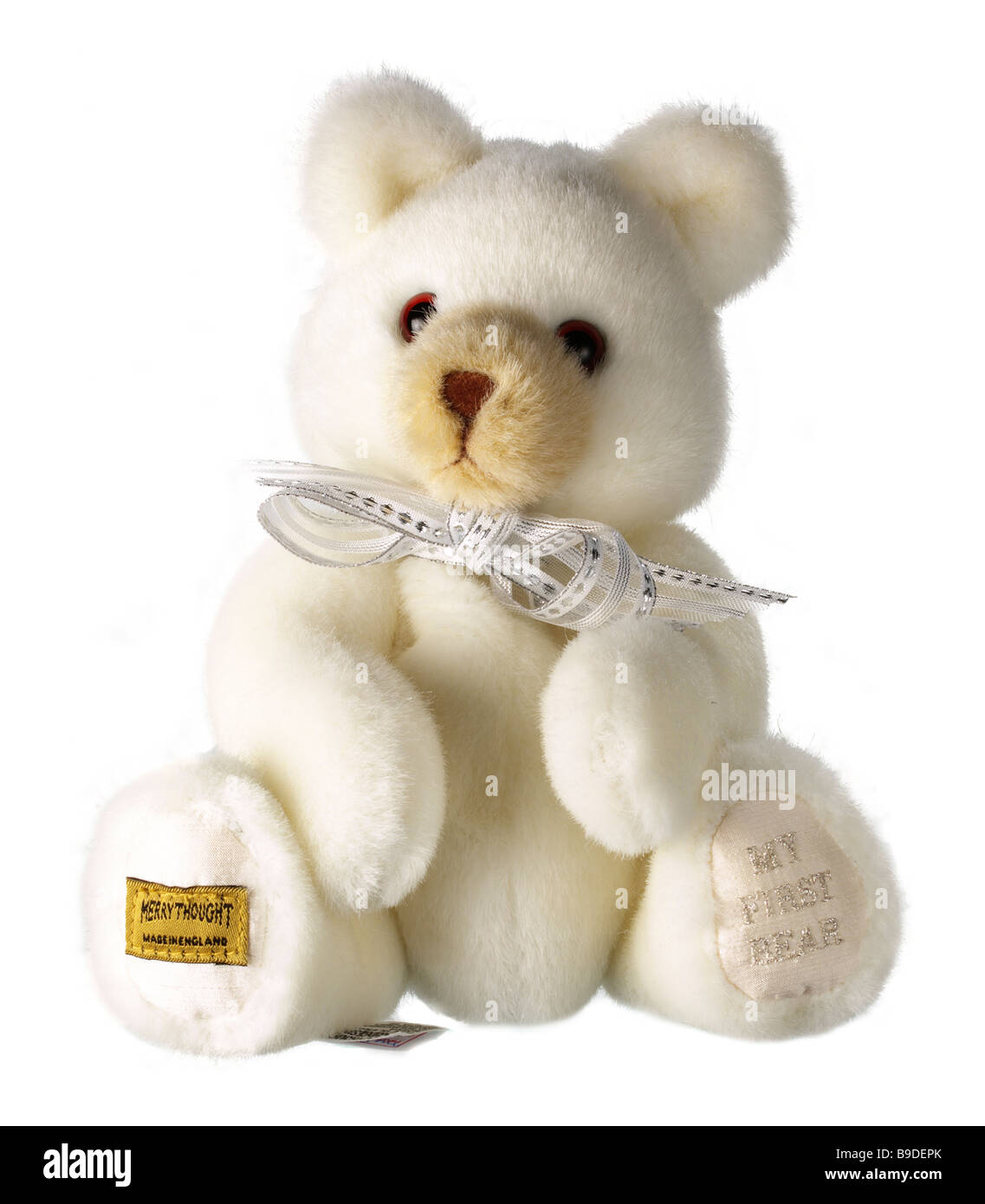Soft cuddly teddy bear Cut Out Stock Images & Pictures - Alamy