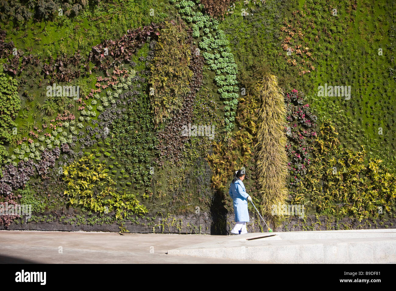 Vertical garden by Patrick Blanc Caixa Forum foundation Madrid Spain Stock Photo