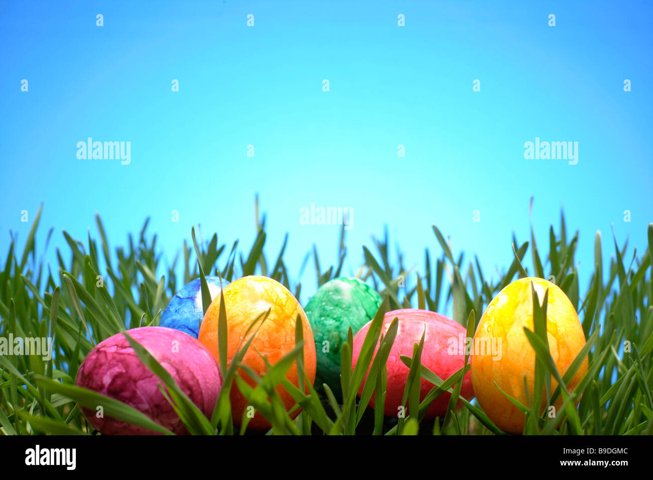 Gefaerbte Eier  Easter Egg Stock Photo