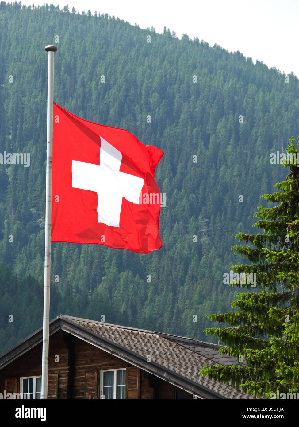 Switzerland, Typical, Suisse, Alp, Home, Hause, Flag, Mountain Stock Photo