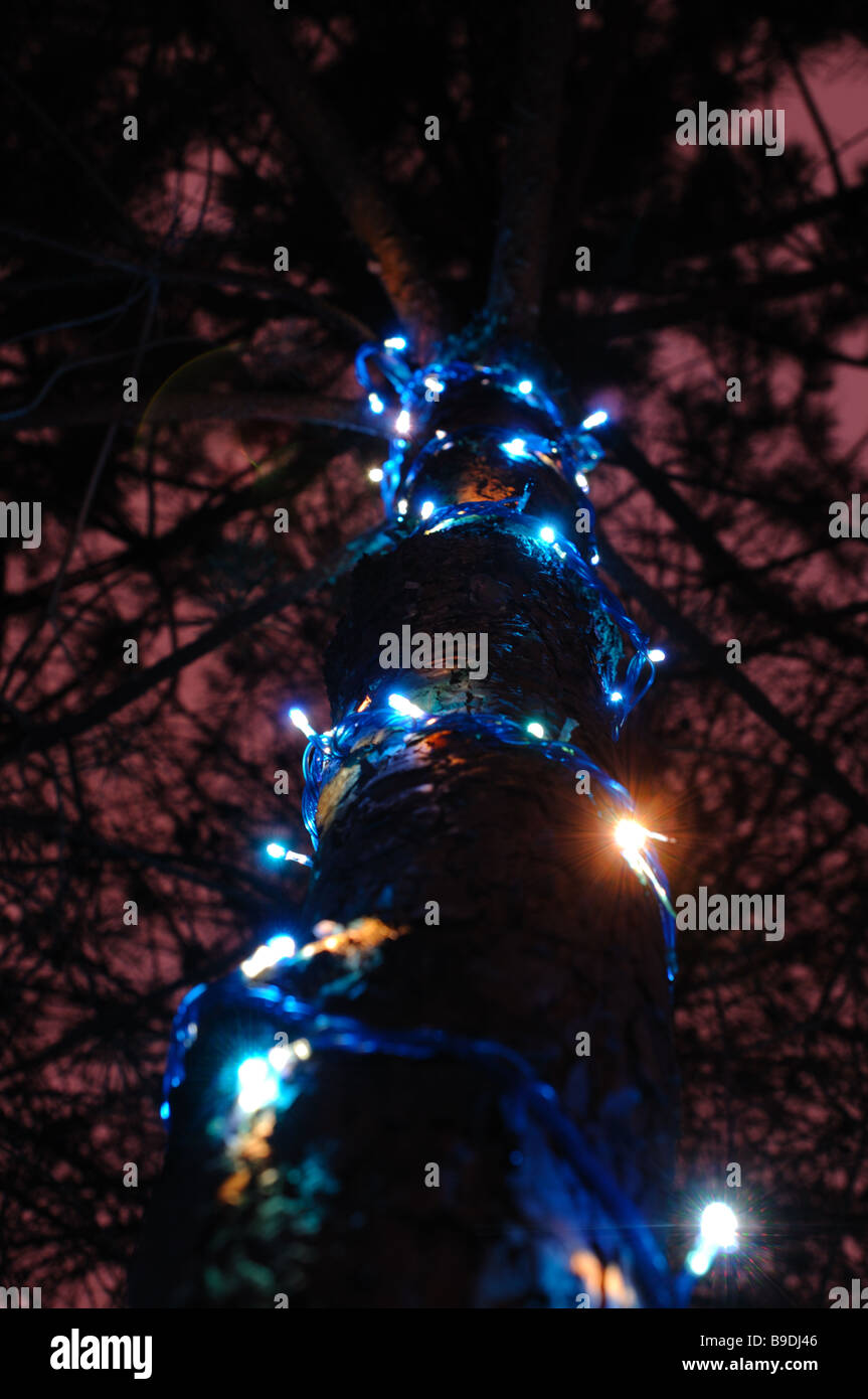 Christmas tree decorated with blue lights Stock Photo Alamy
