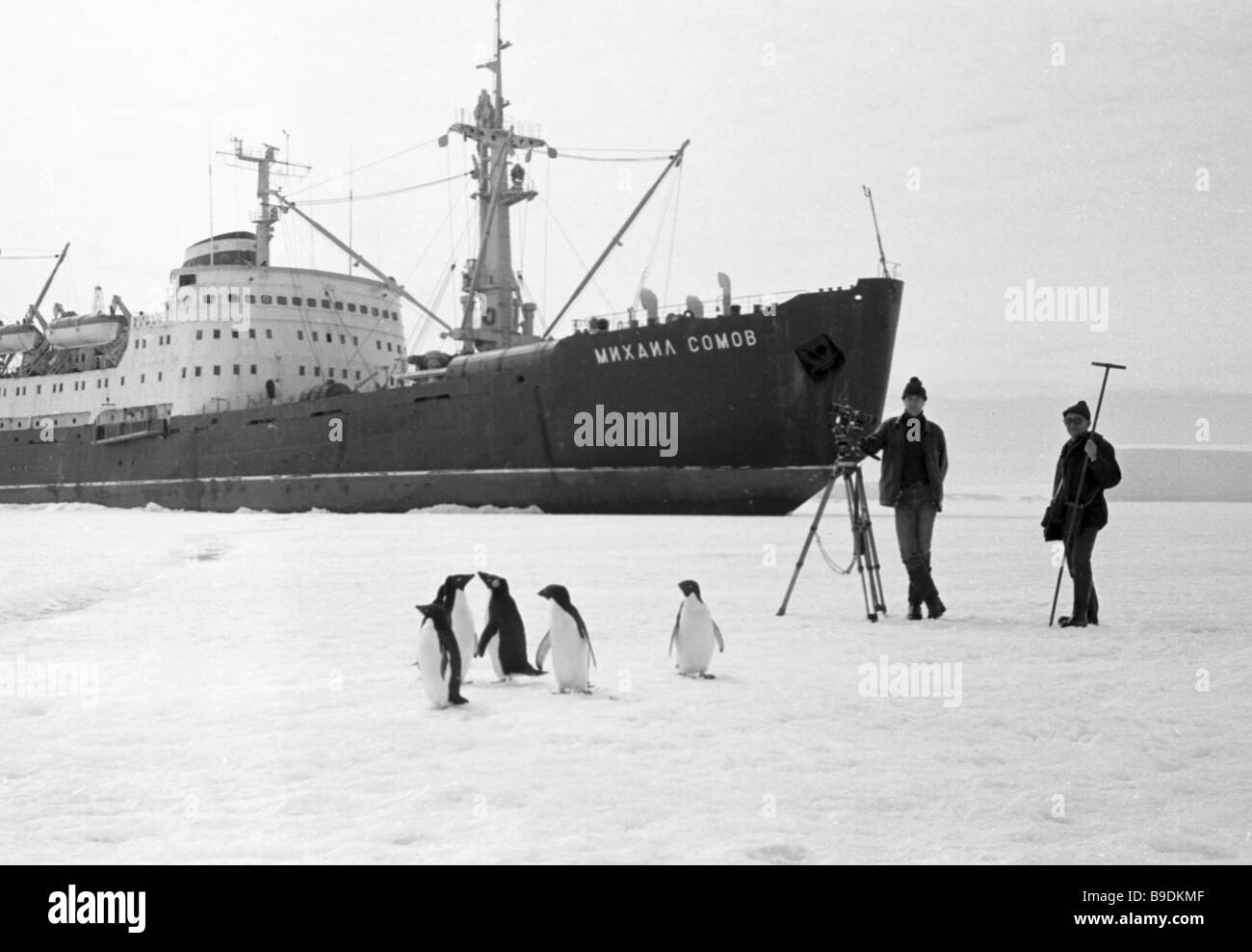 михаил сомов ледокол 1985 дрейф. ледокол москва 1960 года. михаил сомов дрейф 1985. михаил сомов полярник. ледокол михаил громов 1985.