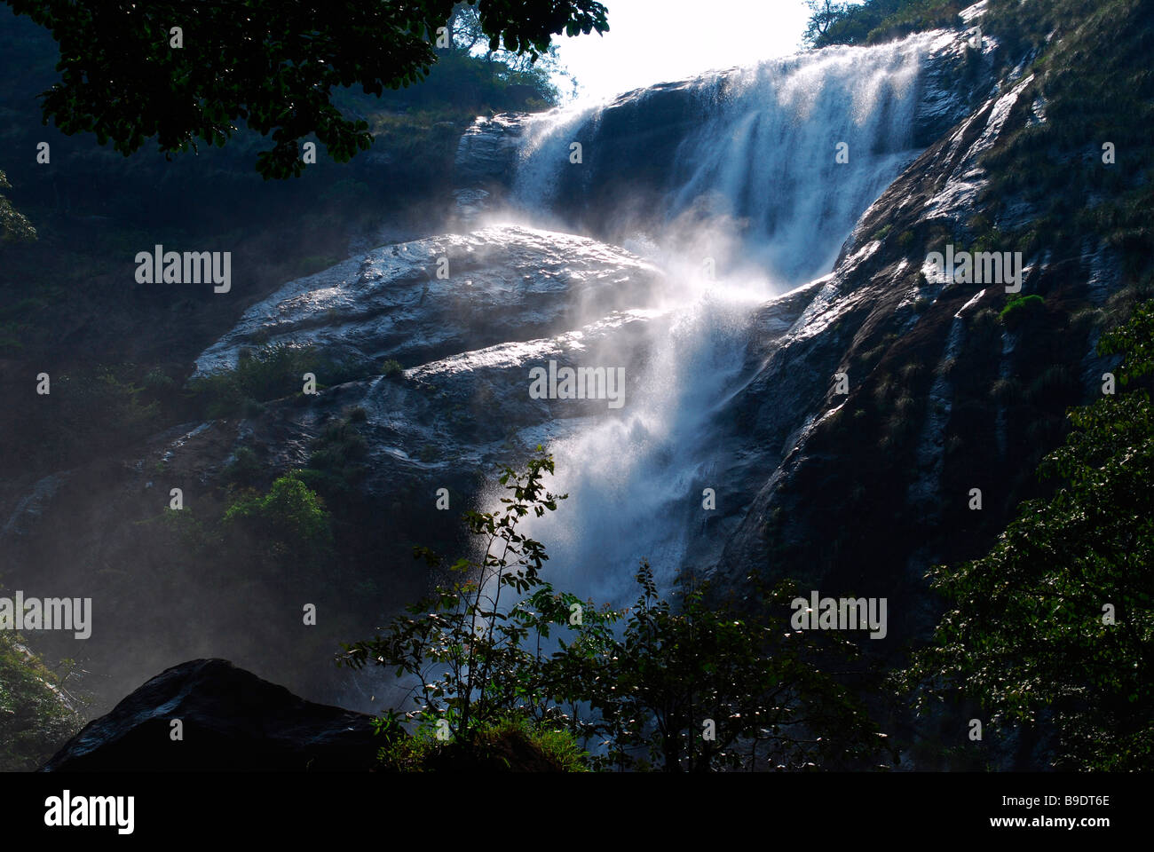 Palaruvi falls ; kerala , India Stock Photo