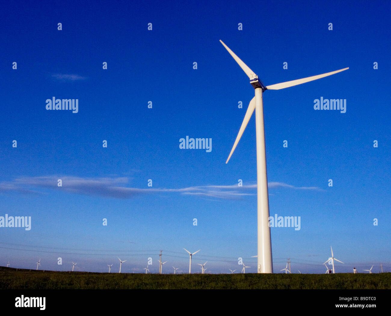 A wind turbine in southern Alberta, Canada Stock Photo Alamy
