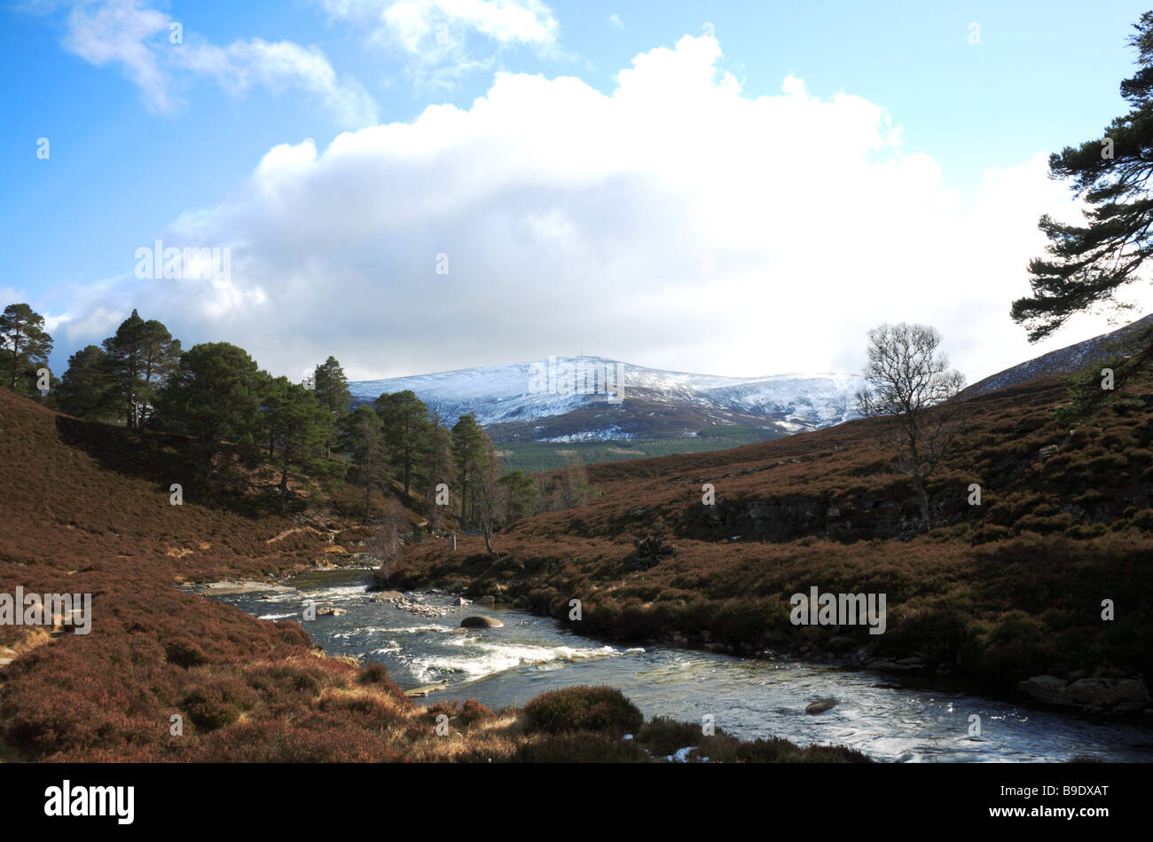 Glen Quoich looking downstream over Quoich Water with snow covered Morrone in the background near Braemar, Aberdeenshire, UK. Stock Photo