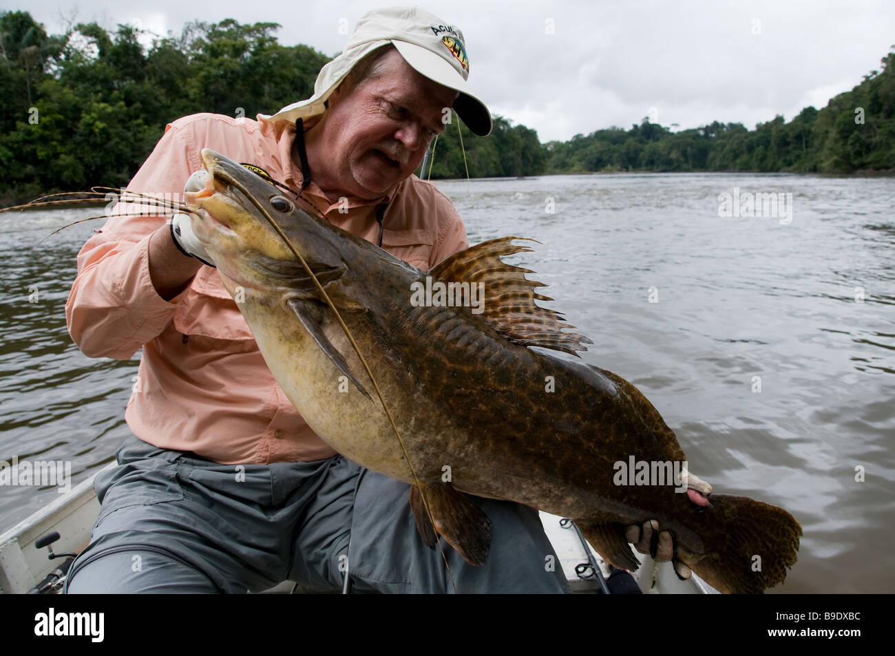 An angler admires a giant world record Jundia catfish caught from