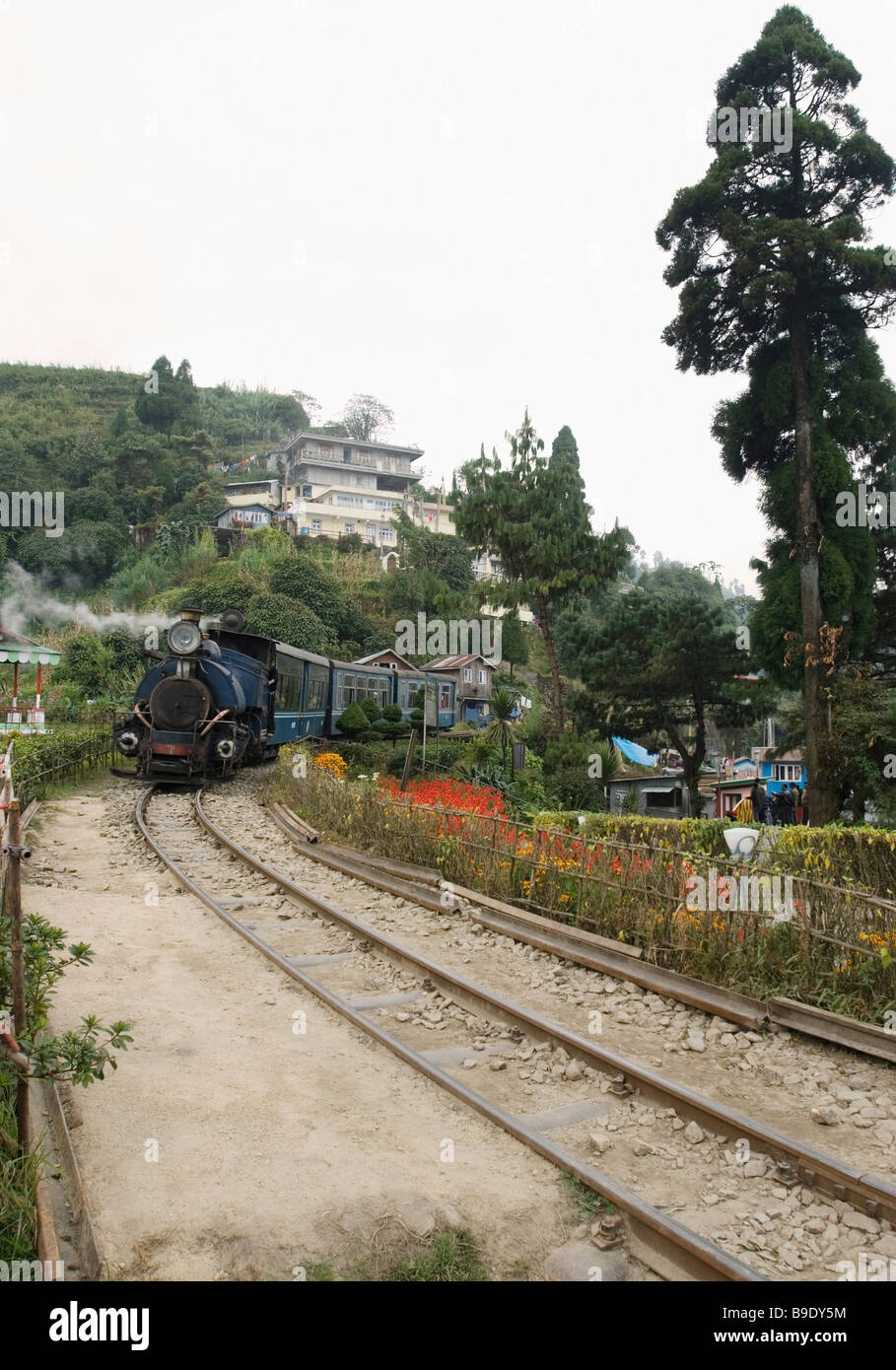 Steam train on railroad tracks, Darjeeling Himalayan Railway, Darjeeling, West Bengal, India Stock Photo